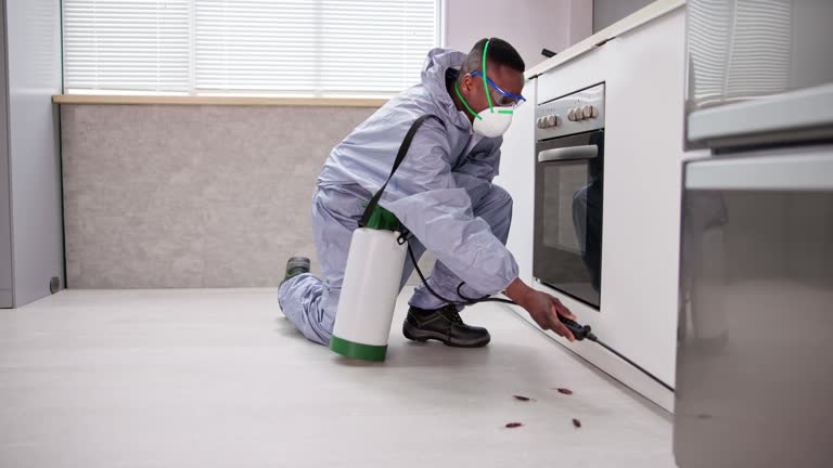 Best Real Estate Pest Inspections  in Honsville, GA